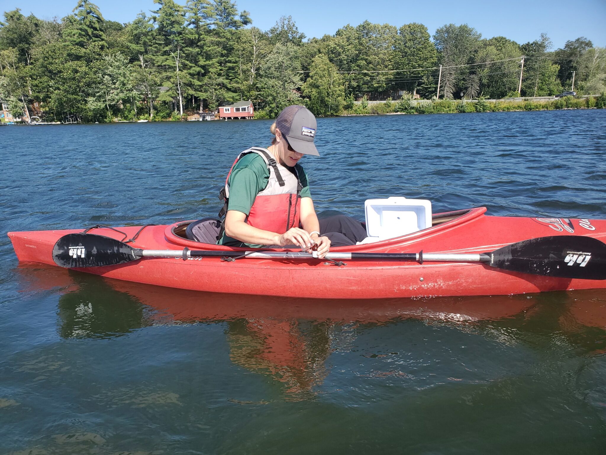 Eurasian Watermilfoil Friends of the Cobbossee Watershed