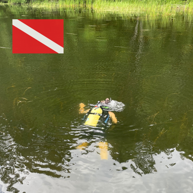 Aquatic Invasive Species Friends of the Cobbossee Watershed